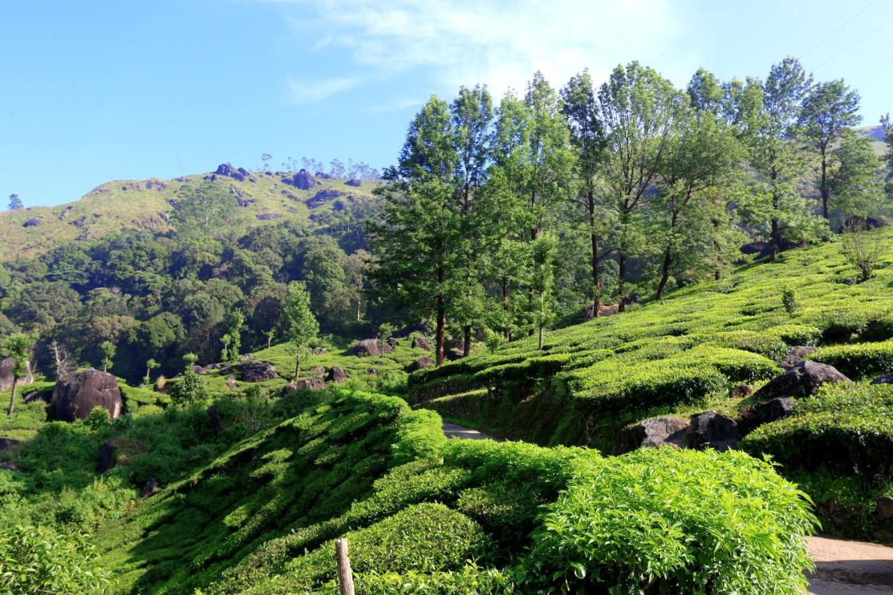 Green Magic Home Munnar Exteriör bild