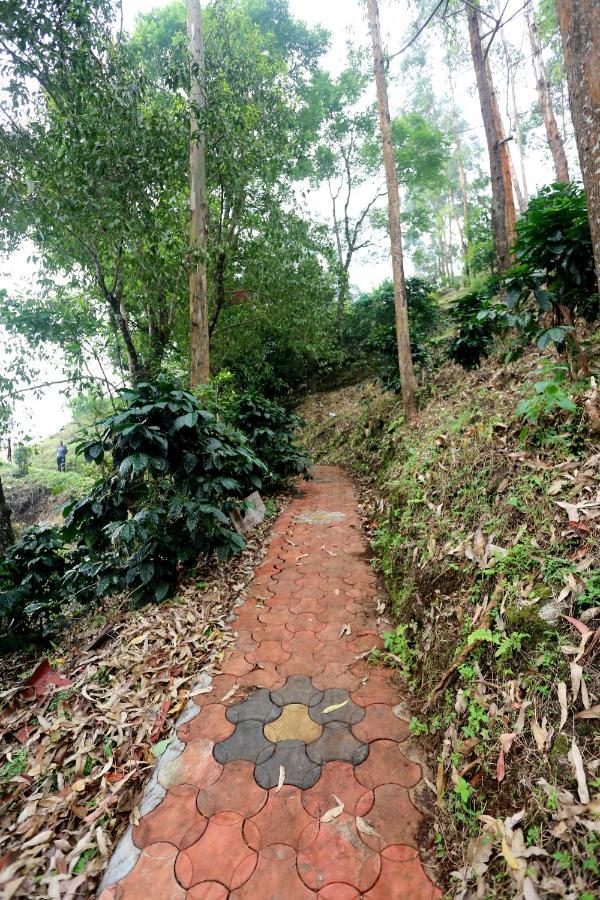 Green Magic Home Munnar Exteriör bild