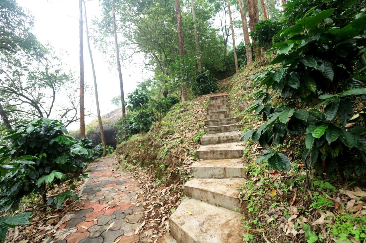 Green Magic Home Munnar Exteriör bild