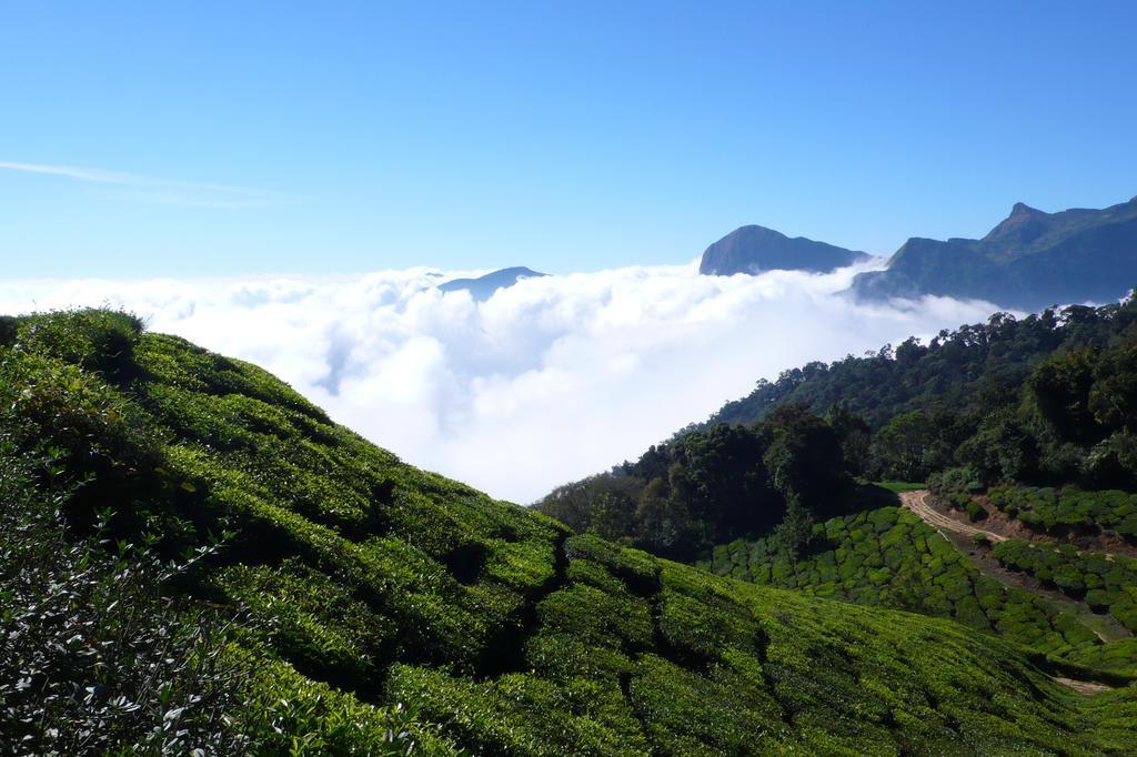Green Magic Home Munnar Exteriör bild