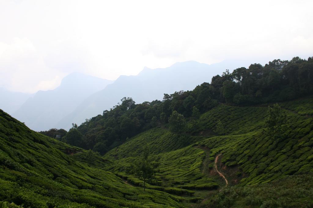 Green Magic Home Munnar Exteriör bild